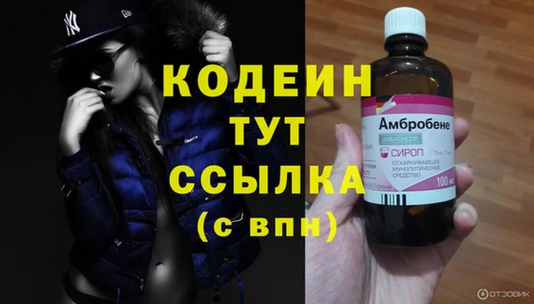 гидра Бородино