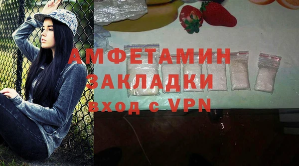 гидра Бородино