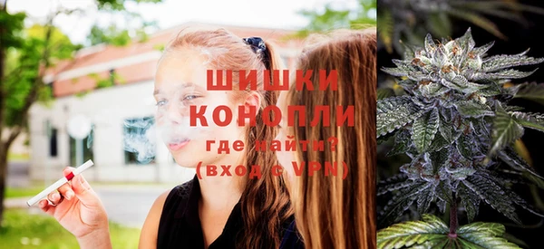 гидра Бородино