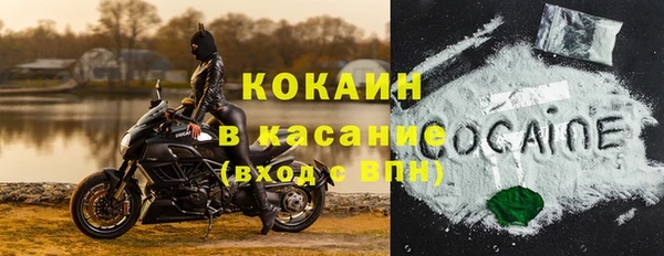 гидра Бородино