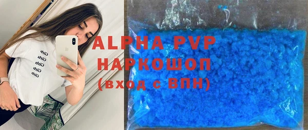 гидра Бородино