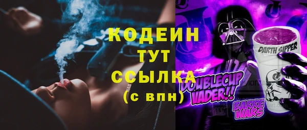 гидра Бородино