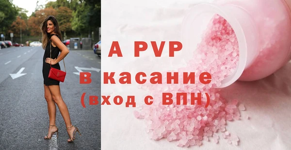 гидра Бородино
