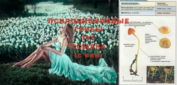 экстази Бугульма