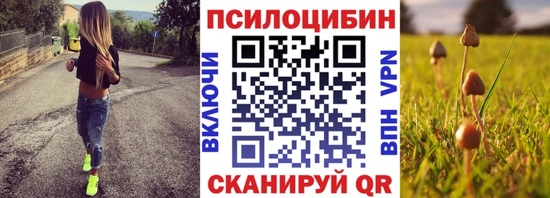 blacksprut зеркало  Десногорск  Псилоцибиновые грибы Cubensis 